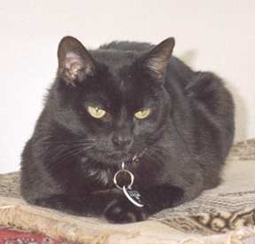 otisweb