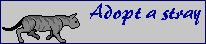 a_stray
